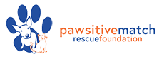 Pawsitive Match Logo