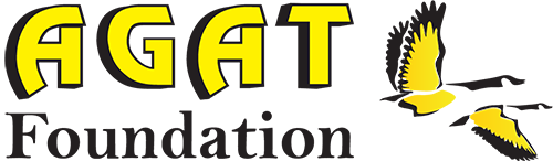 Logo of the AGAT Foundation featuring the word "AGAT" in yellow and "Foundation" in black, with a yellow bird in flight.