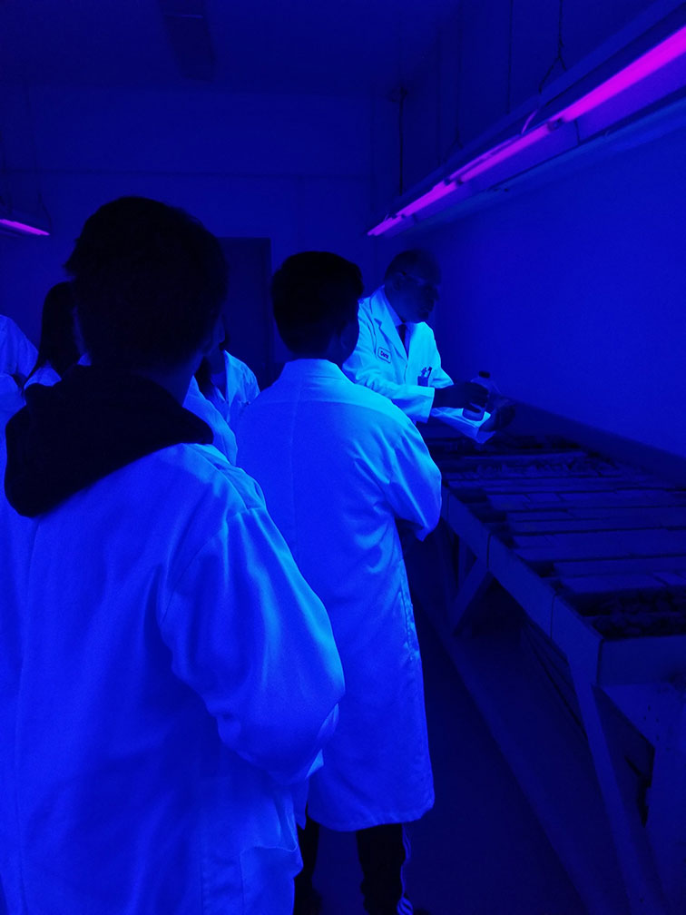 agat-labs-students-under-blue-light-seeing-soil-samples