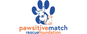 Pawsitive Match