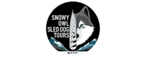 Snowy Owl Sled Dog Tours